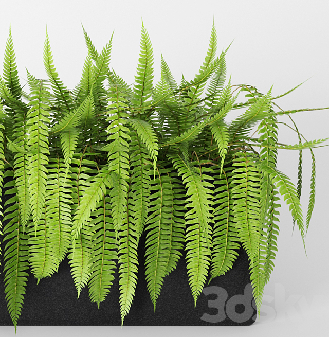 3d model