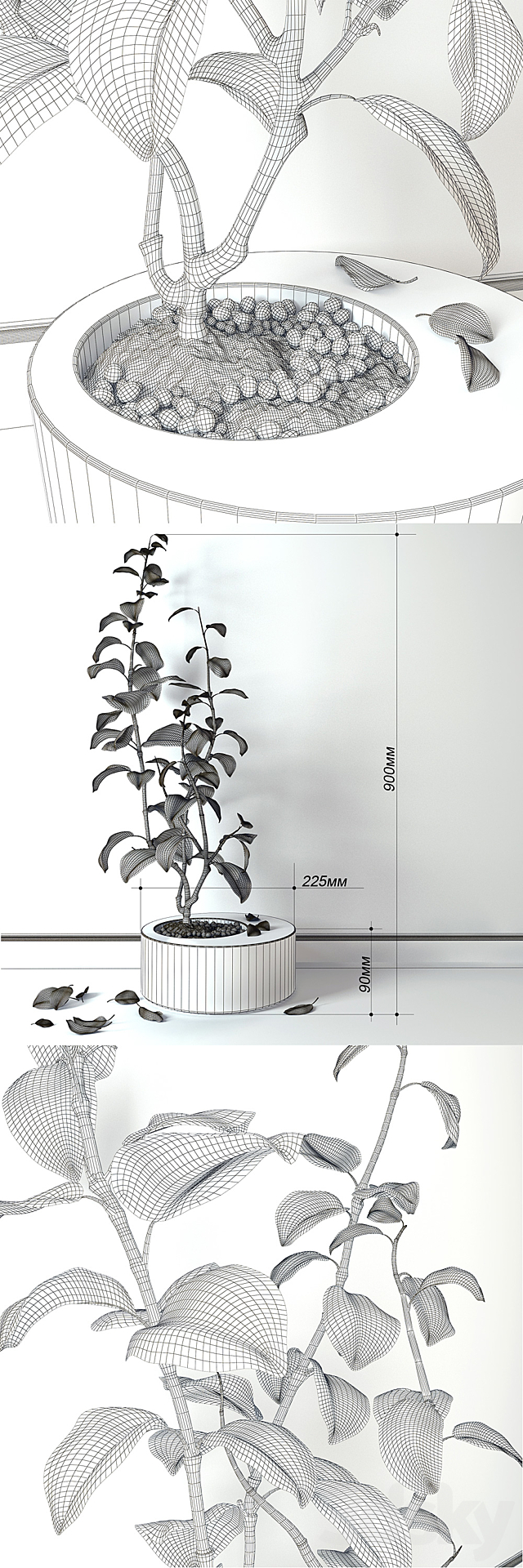 3d model