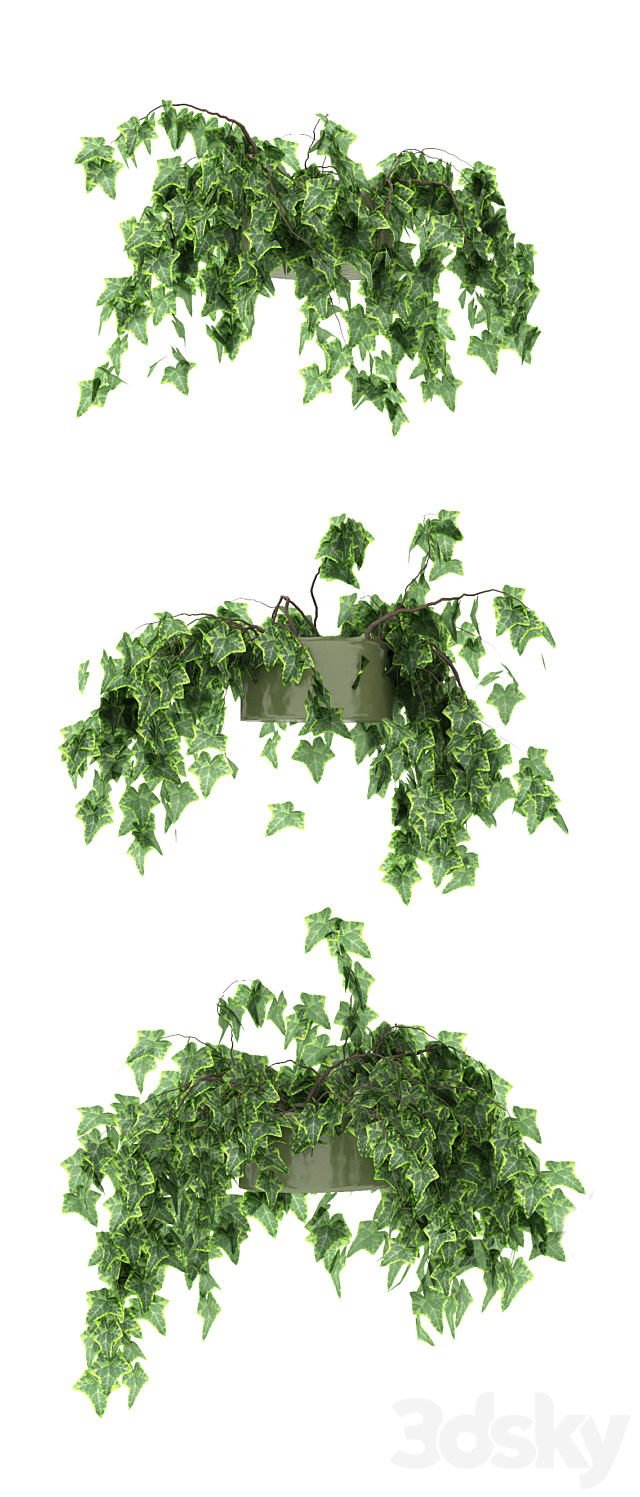 3d model