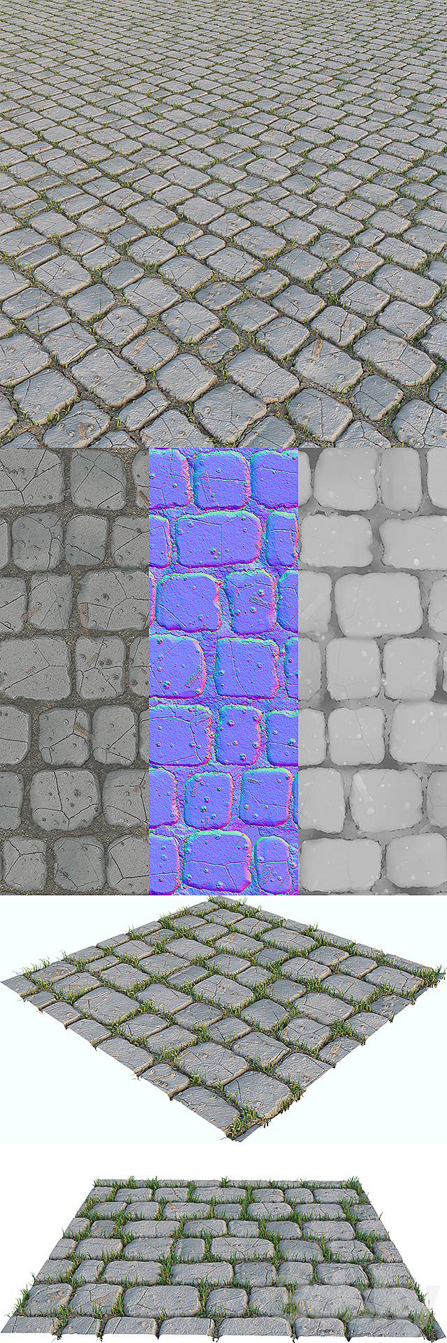 3d model