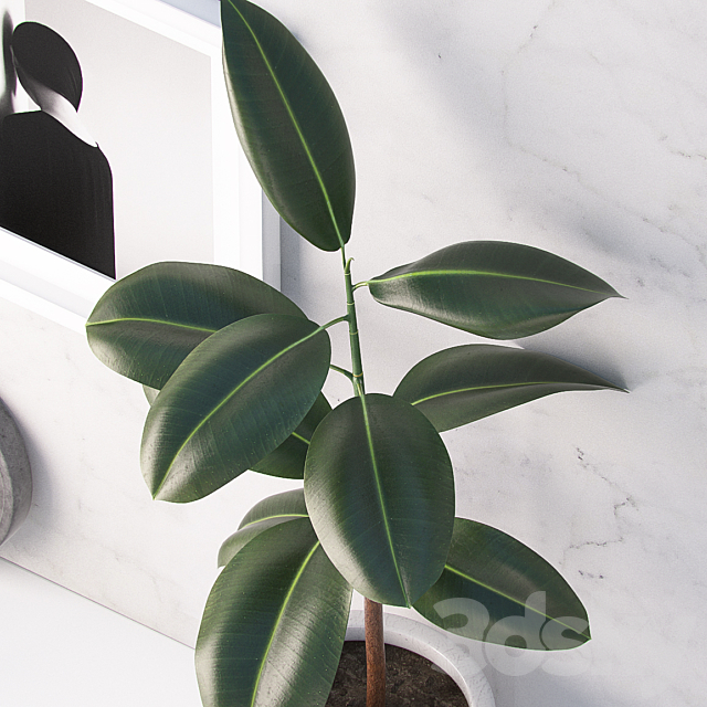 3d model