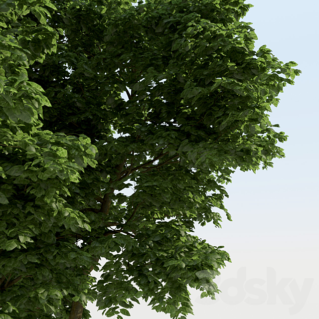 3d model