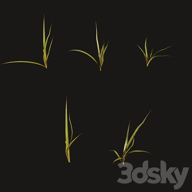 3d model