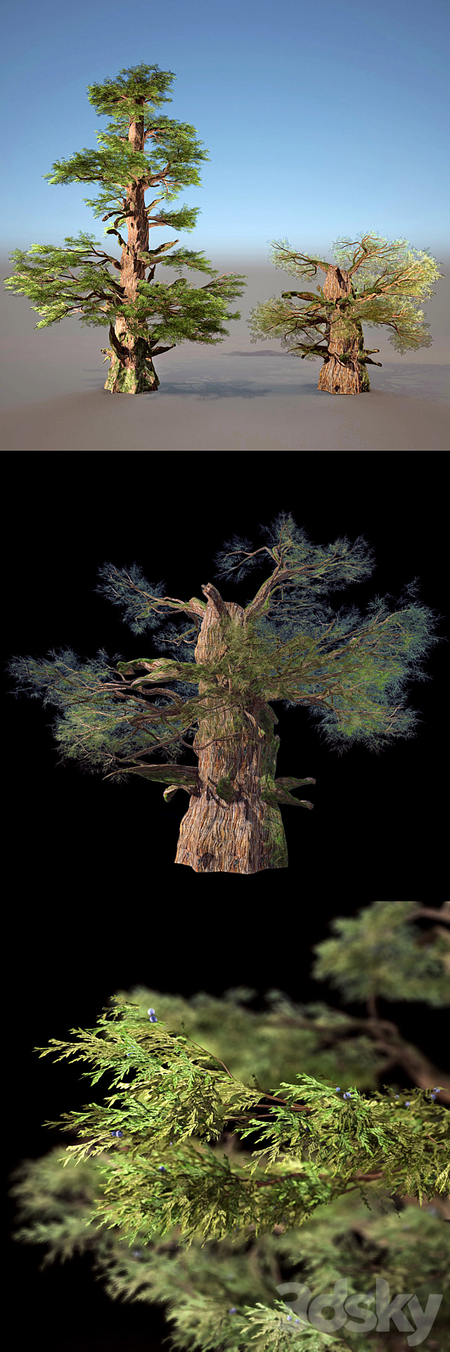 3d model