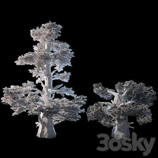 3dsky Free Download