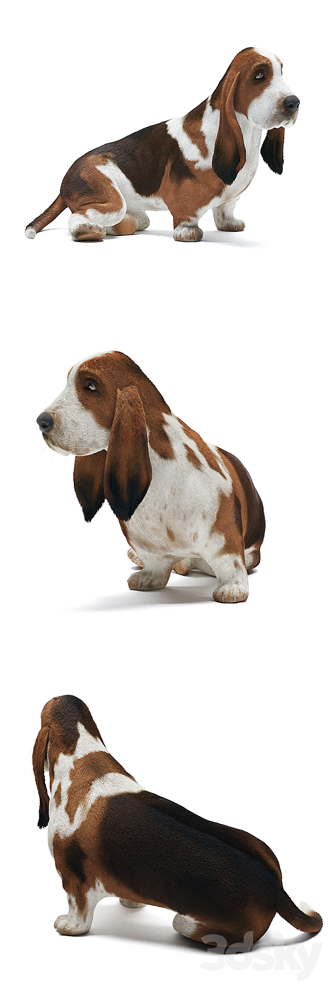 3d model