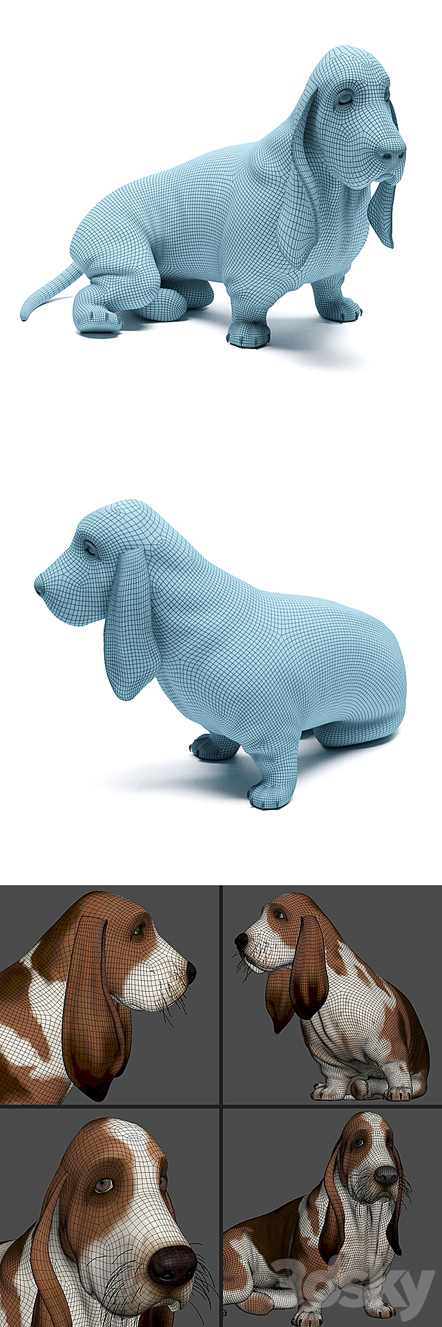3dsky Free Download