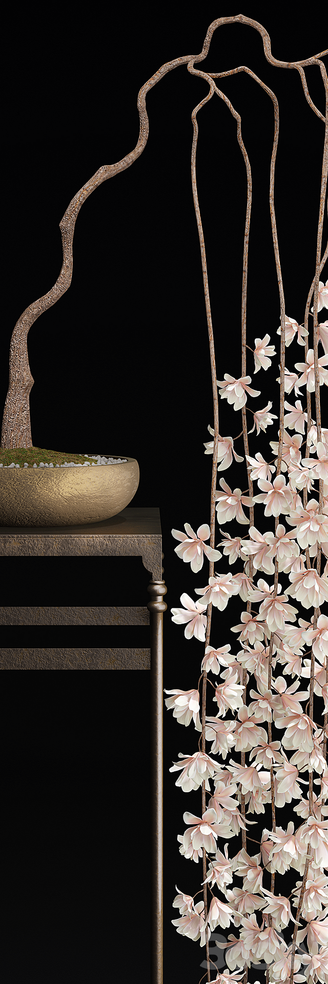 Bonsai-Magnolia 3ds Max - thumbnail 2
