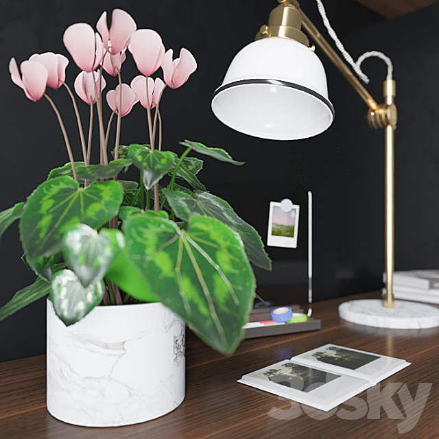 3d model