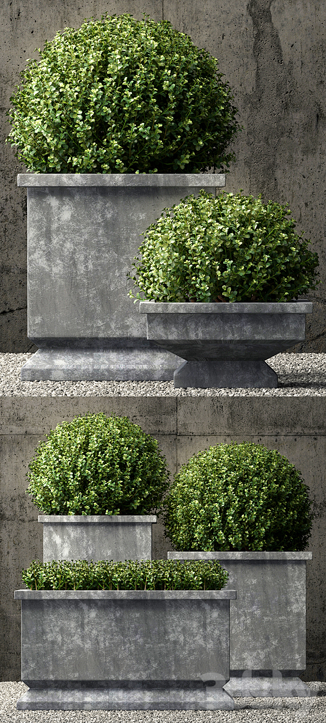 3d model