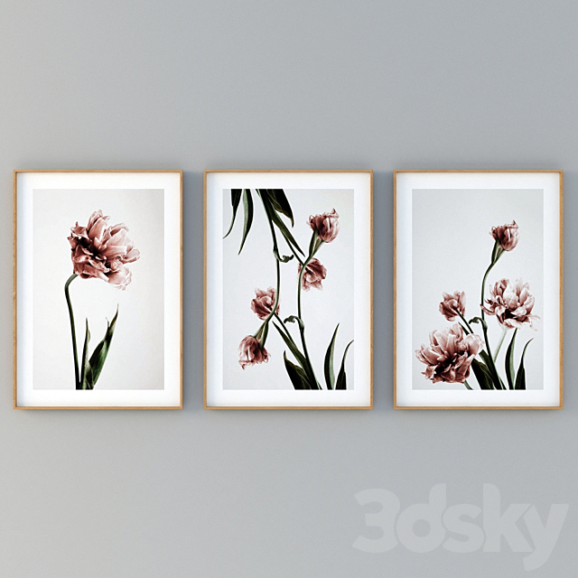 3dsky Free Download