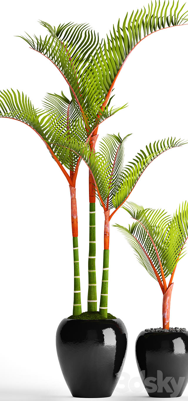 3d model