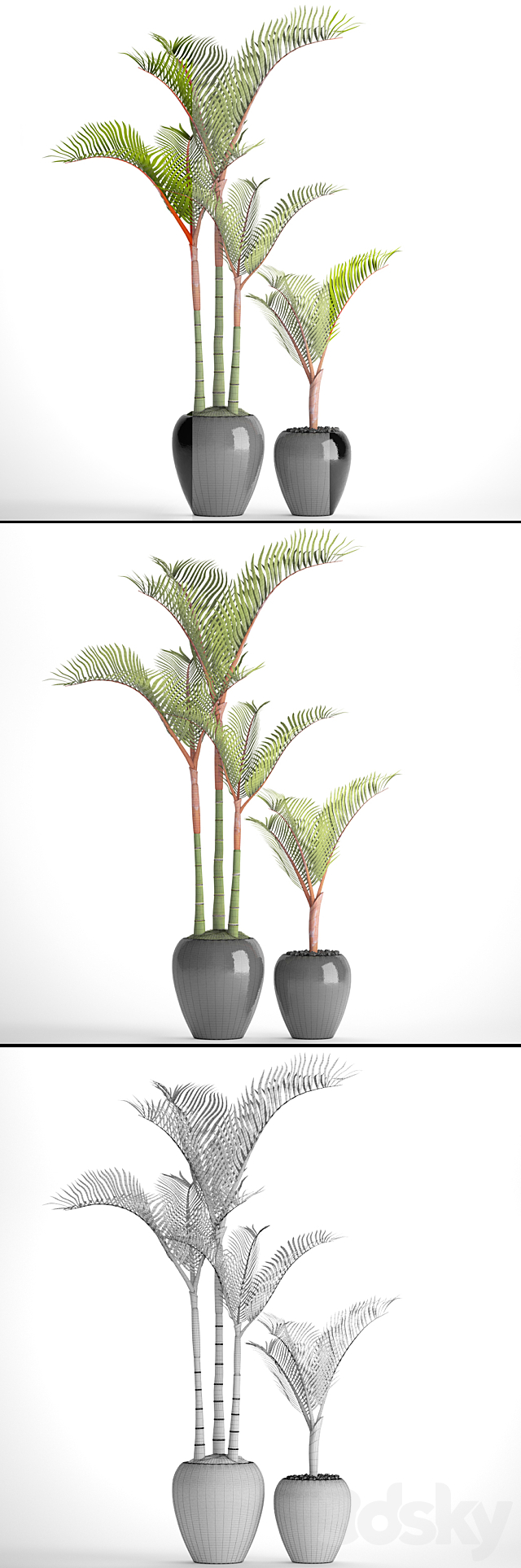 3dsky Free Download
