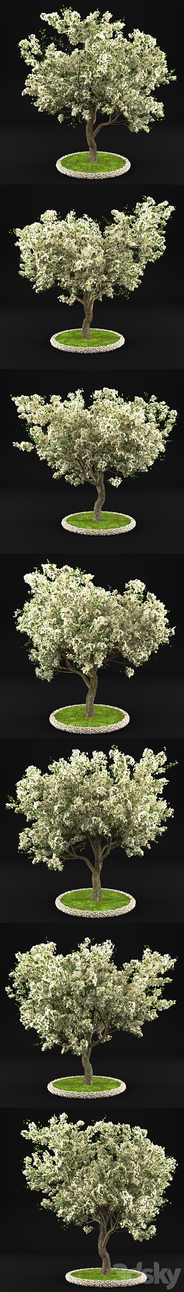 3d model
