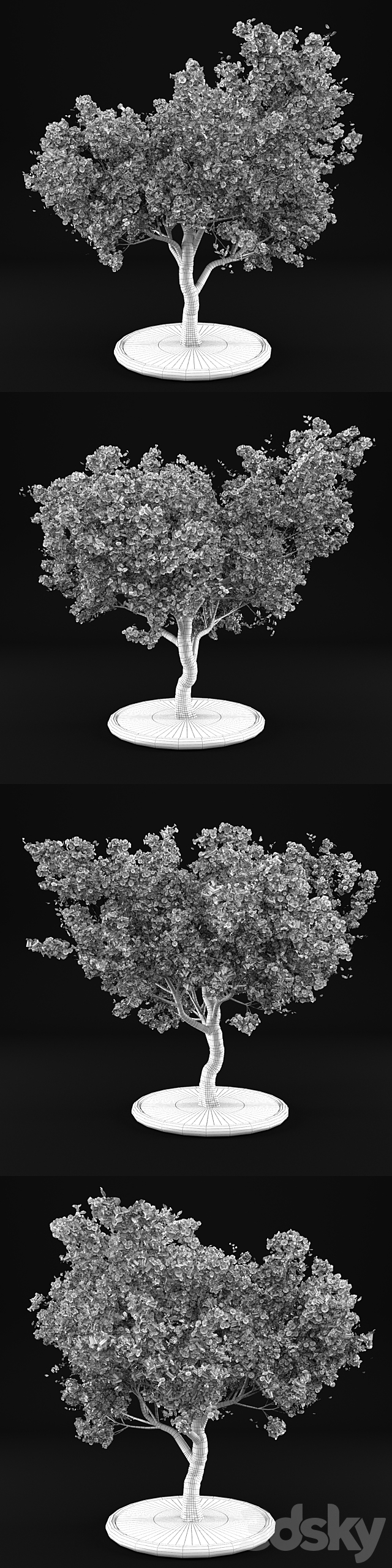 3dsky Free Download