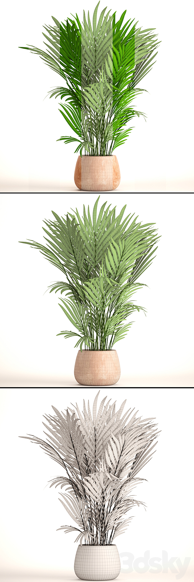 3dsky Free Download