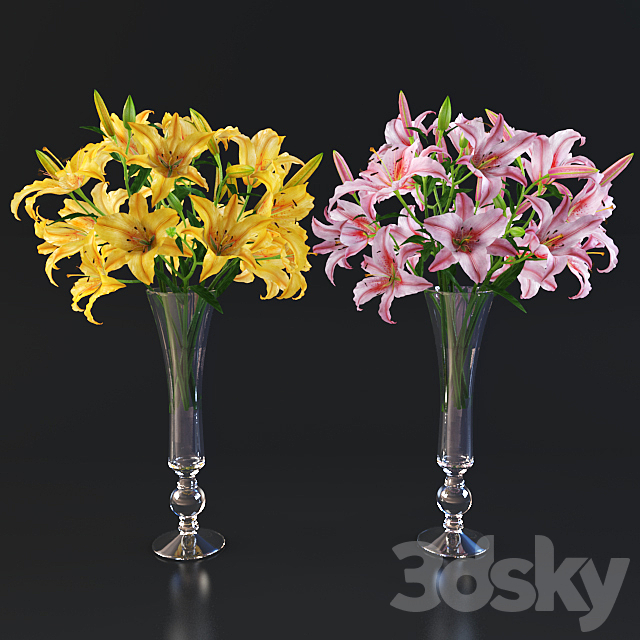 3d model