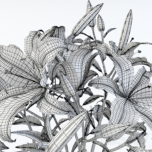 3dsky Free Download