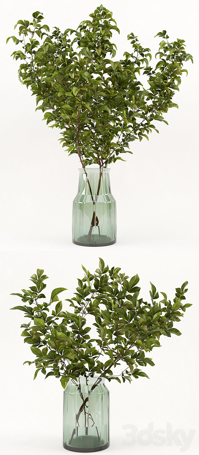 3d model