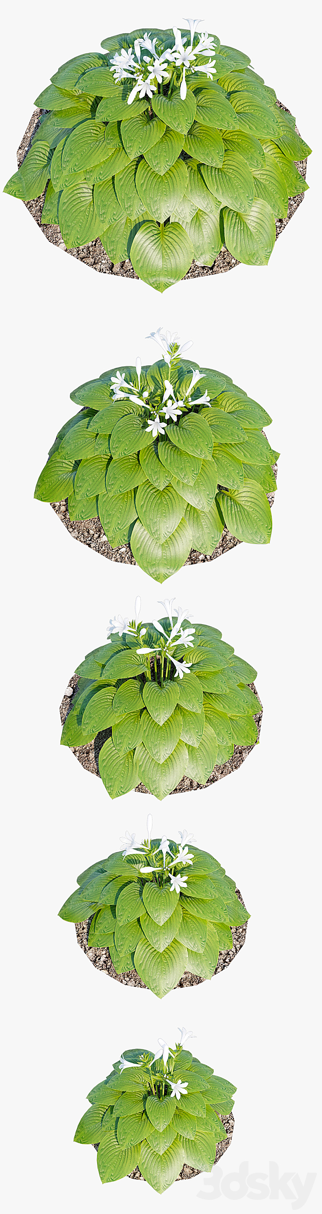 3d model