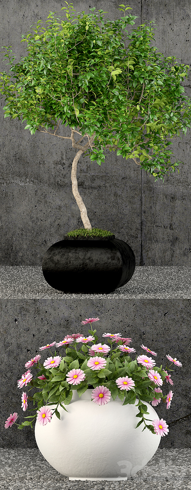 3d model