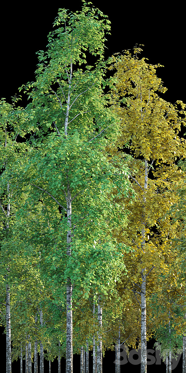 3d model