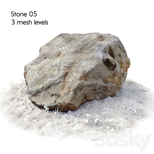 3d model
