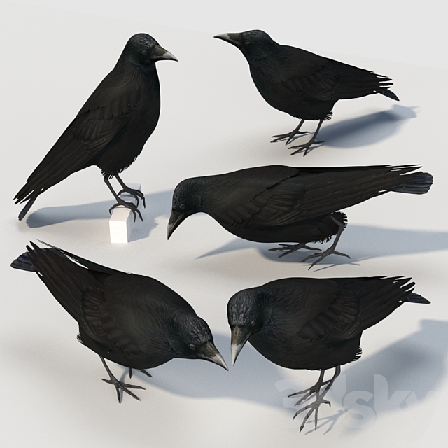 3d model