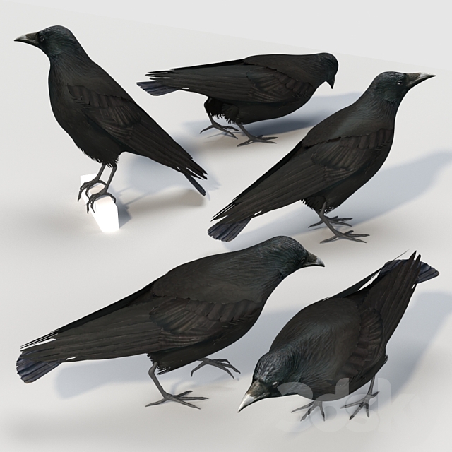 3dsky Free Download