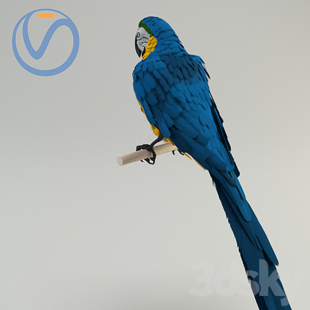 3d model