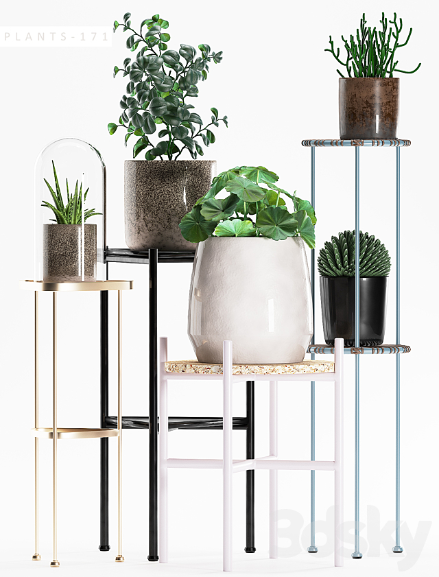 3d model