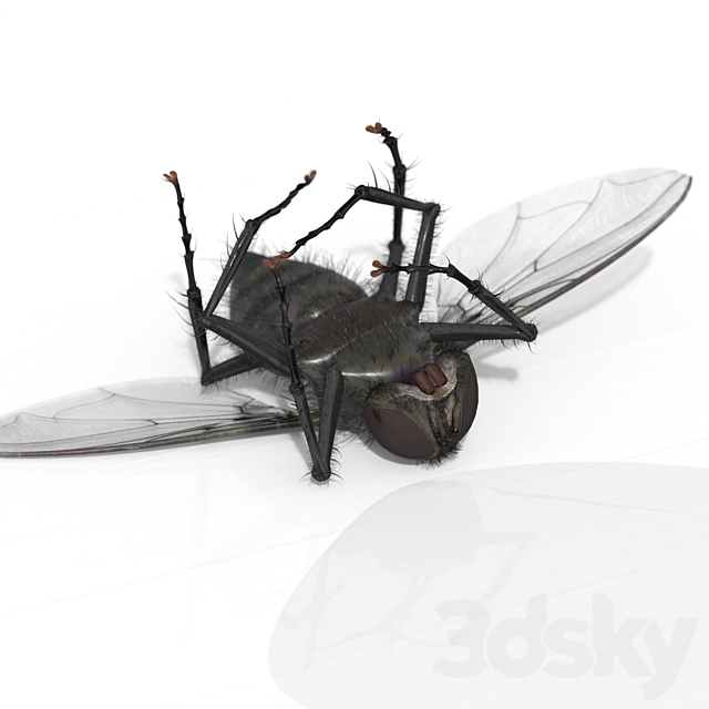 3d model