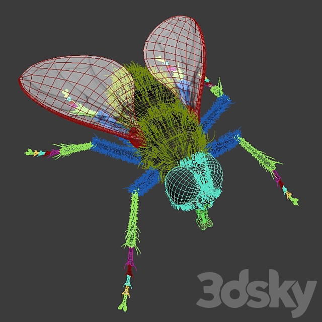 3dsky Free Download