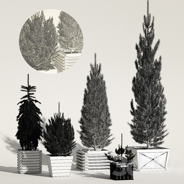 3d model