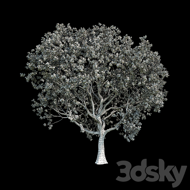 3d model