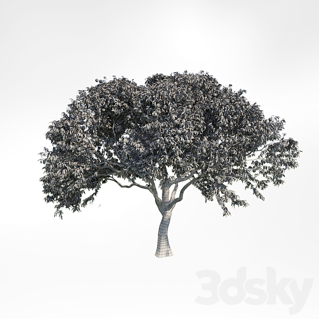 3d model