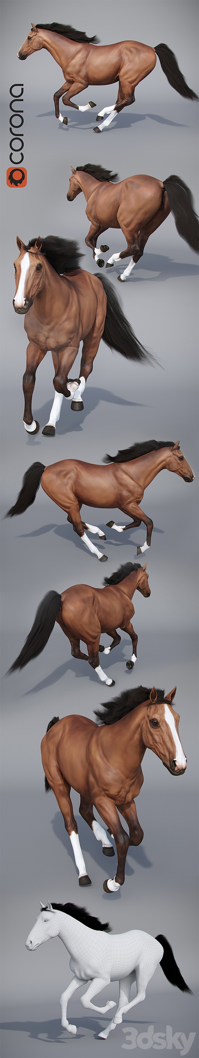3d model