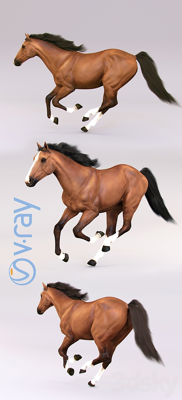 3dsky Free Download