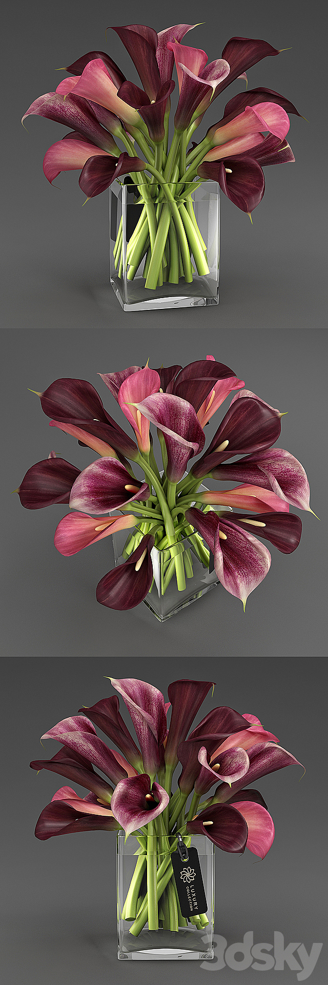 3d model