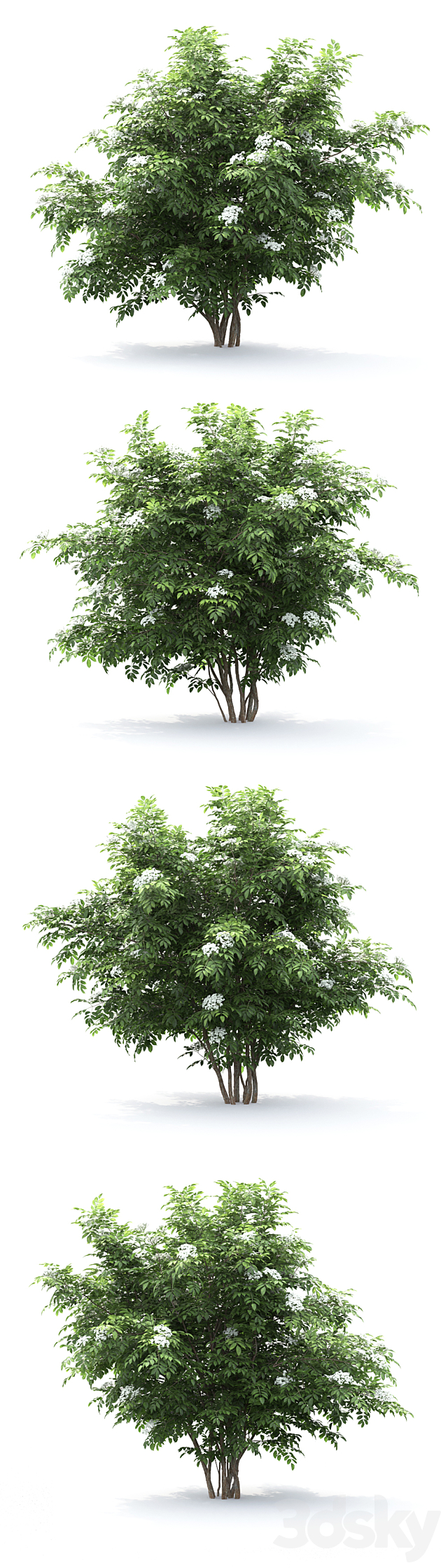 3d model