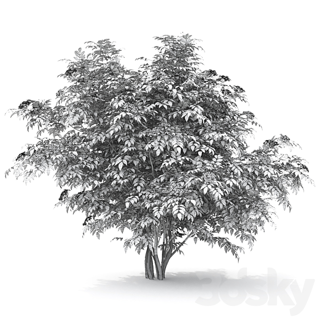 3dsky Free Download