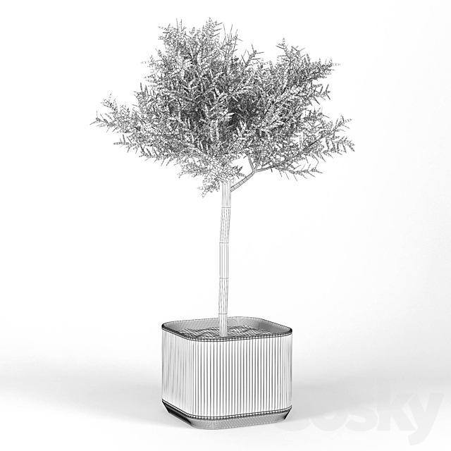 3dsky Free Download