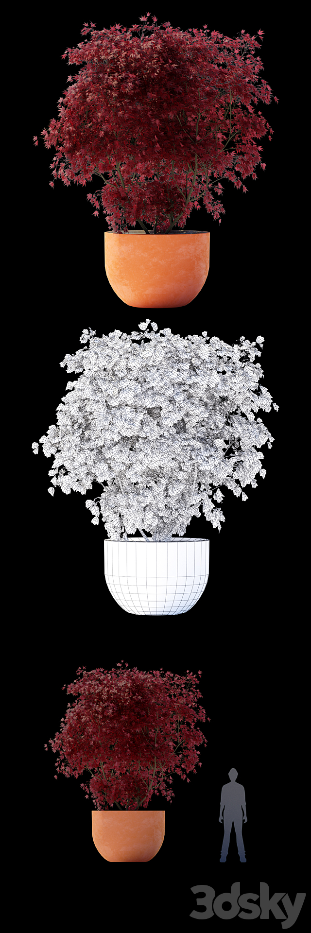 3dsky Free Download