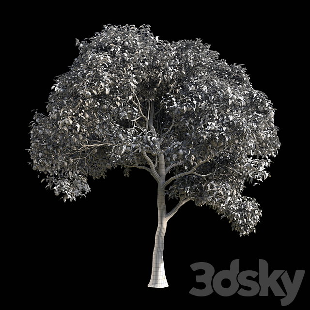 3d model