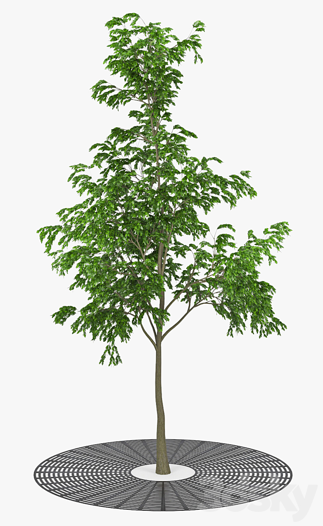 3d model