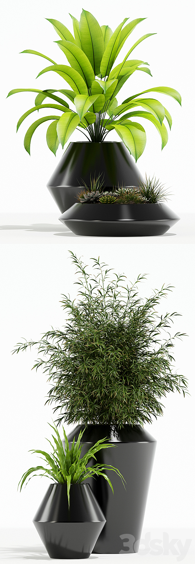 3d model