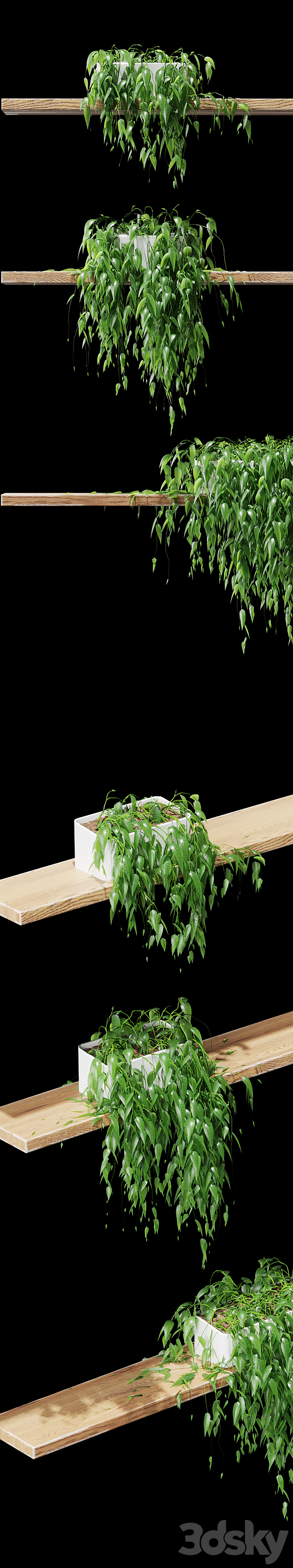 3d model