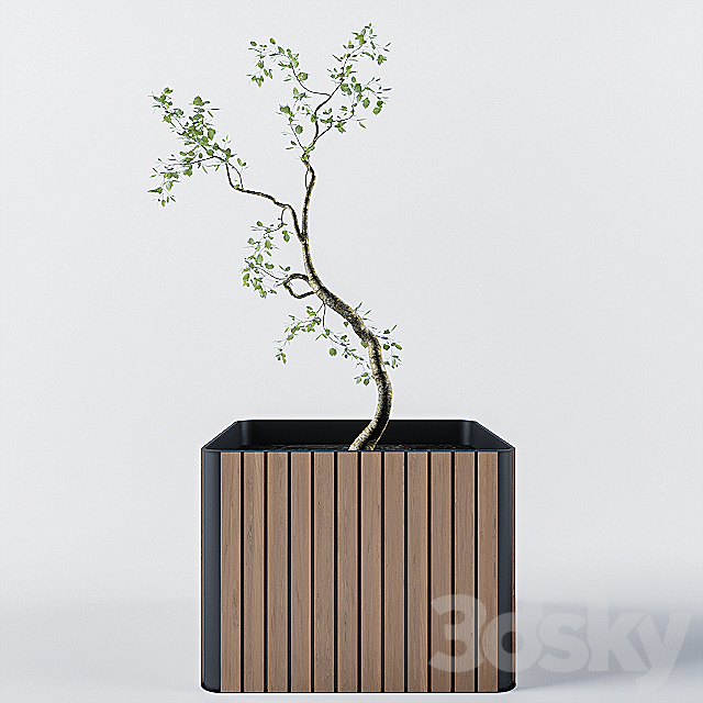 Cane-line (rectangular & square) Combine 3ds Max - thumbnail 3
