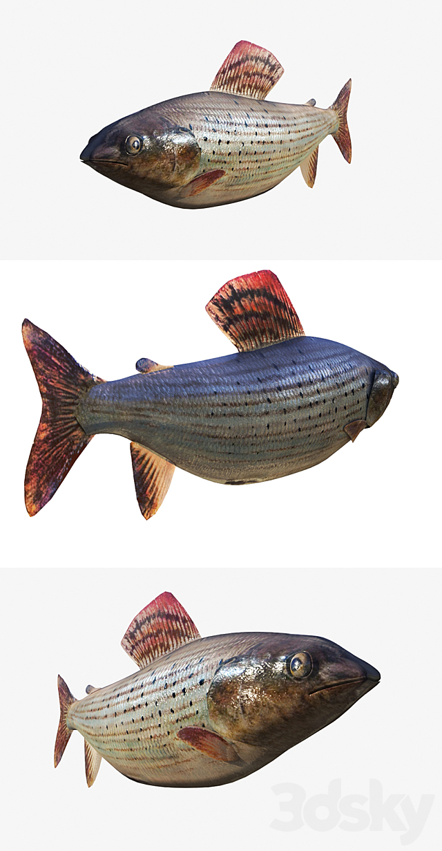 3d model