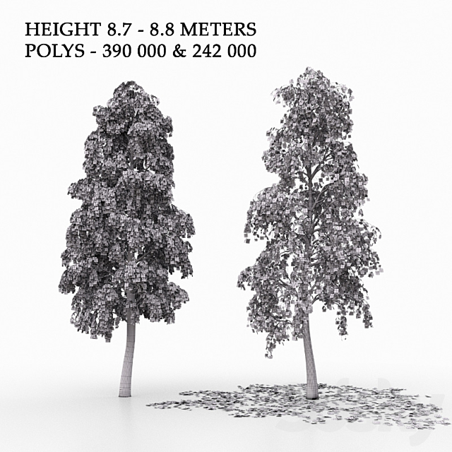 3d model